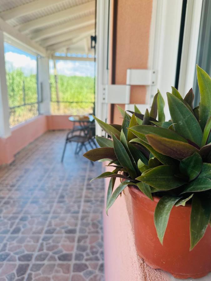 Venetian Gem Central Corfu Retreat Kanoni  Extérieur photo